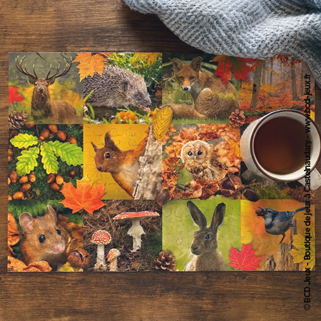 Puzzle Premium Collection – Animaux de l’Automne – 1000 pièces Jumbo Diset