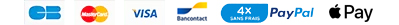 Payments Logo