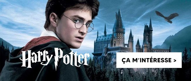 Cadeaux Harry Potter : livres et jeux de société ! - Lucky Sophie blog  famille voyage