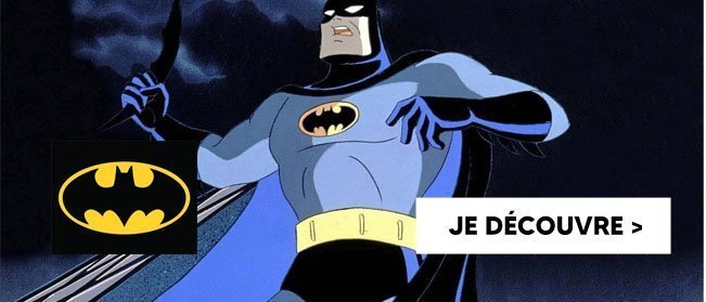 Jeux et décoration Batman