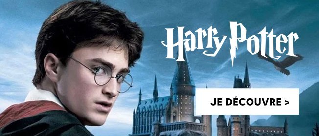 Jeux en famille thème harry potter