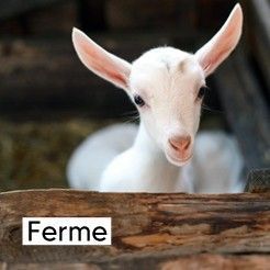 Jeu et jouet sur le thème de la ferme