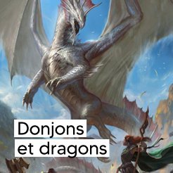 JDR : Jeux de rôle Donjons et dragons