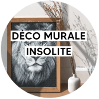 Une décoration murale insolite