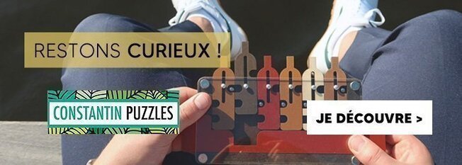 Perplexus - Beast Spin Master : King Jouet, Jeux de réflexion Spin Master -  Jeux de société