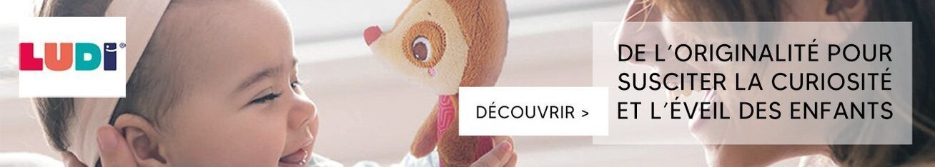 fabricant francais de jouets bebe ludi