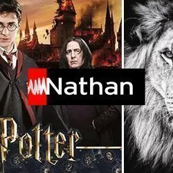 Nathan puzzle