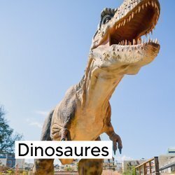 Jeux enfants thème dinosaures
