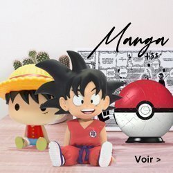 Thème décoration sur les manga pour une chambre d'enfant, Pokemon, Drangon ball et One piec