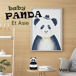 Thème Panda chambre de bébé