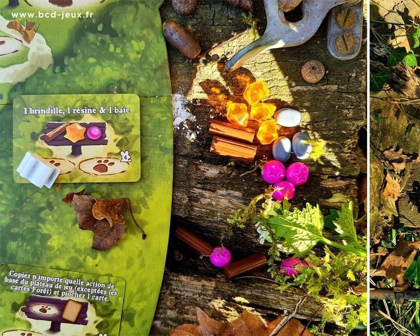 Jeu de société Everdell par BCD Jeux