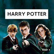 Jeux société Harry POtter