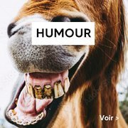 Jeux coopératifs sur le thème de l'humour