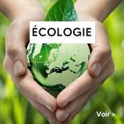 Jeux société sur l'écologie