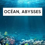 Jeu société thème mer océan