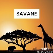 Jeu société sur les animaux de la savane