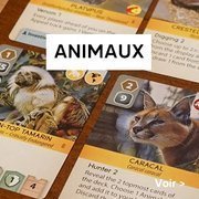 Jeux société thème animaux