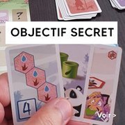 Jeu avec des objectifs secrets