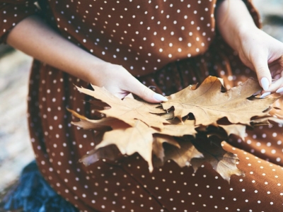 Que faire en automne ?
